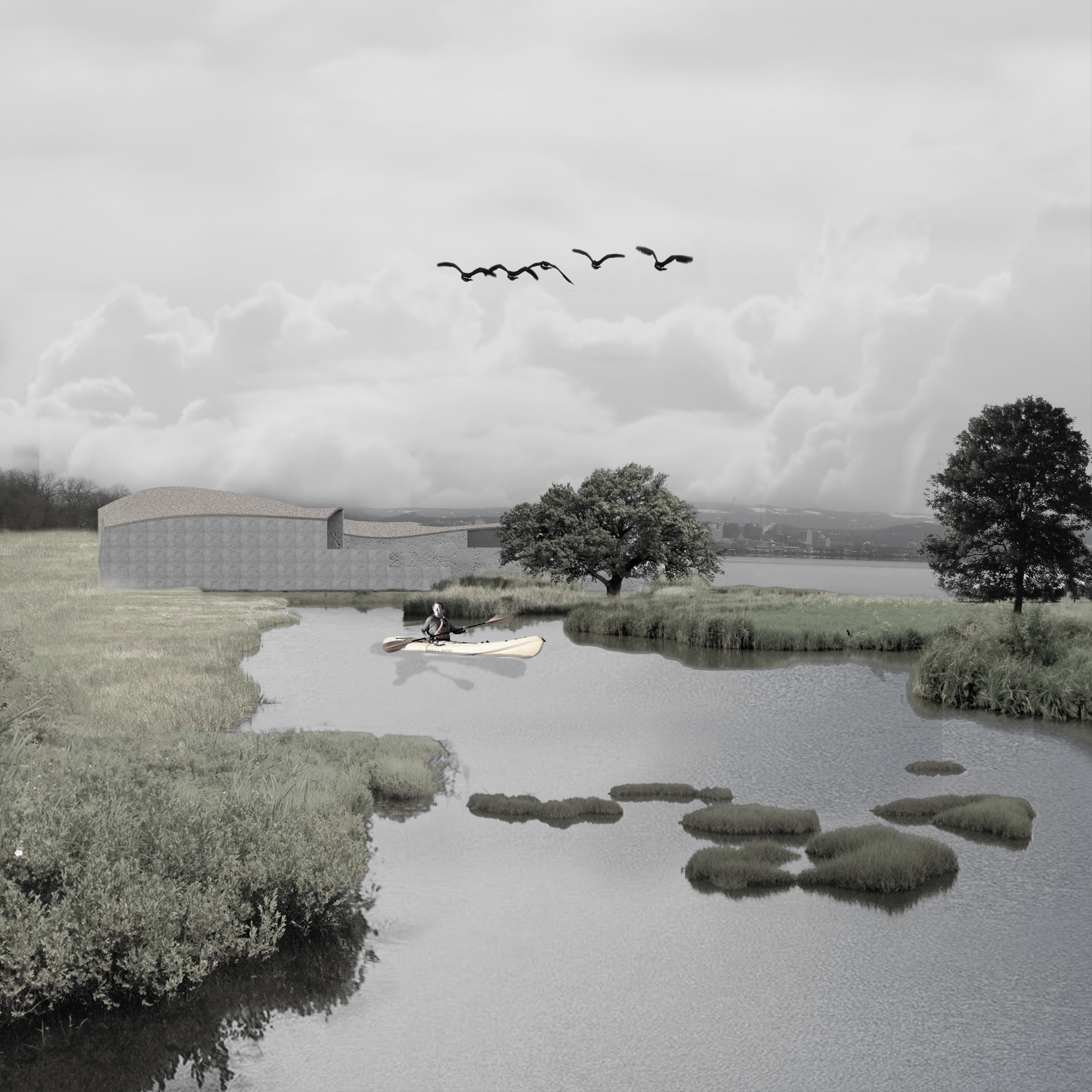 Wetlands Perspective